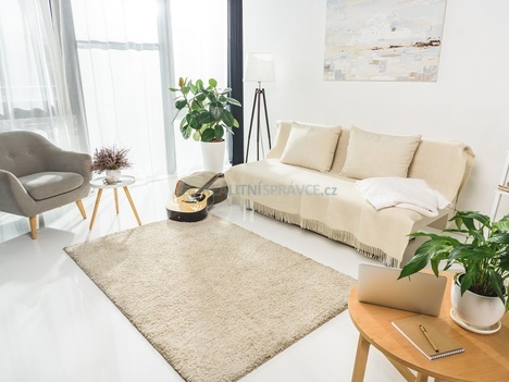 Prodej bytu 3+1, 90m2, ulice Branišovská, České Budějovice